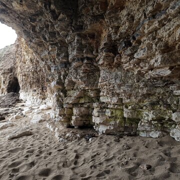 flamborough north landing, Yorkshire Nature Reserve. Flamborough. East Yorkshire coast 