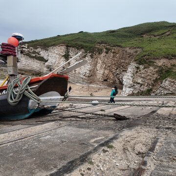 flamborough north landing, Yorkshire Nature Reserve. Flamborough. East Yorkshire coast 