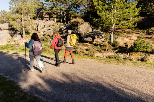 Three friends enjoying walking on winding forest path