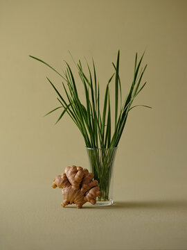 Fresh ginger root with green grass in a glass vase on a green