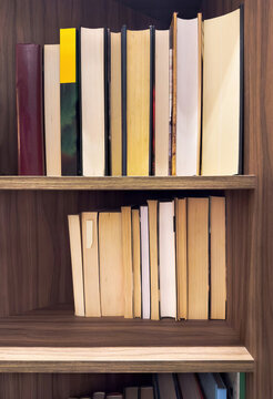 Bookshelf of books to read