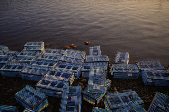 Lobster traps rest by the water during sunset at the coast