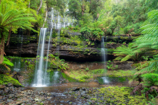 Russell Falls Inside Mt. Field National Park Tasmania 