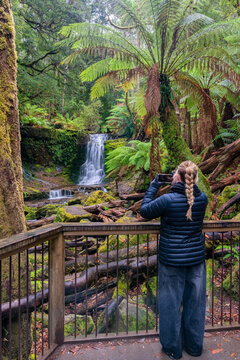 Horseshoe falls inside  Mount Field National Park Tasmania 