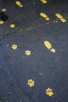 Footprints on the floor