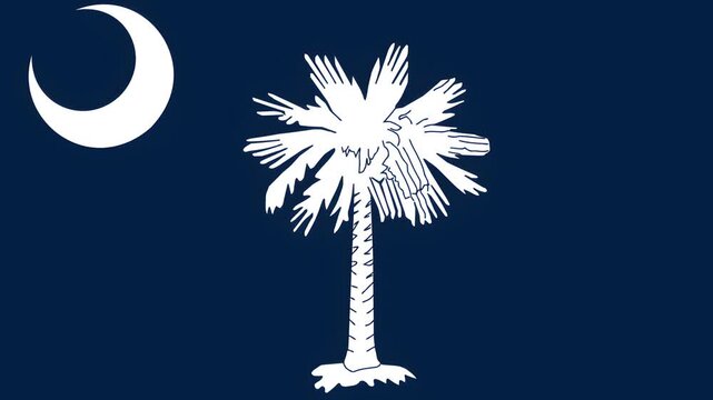 The south carolina state flag of the United States of America waving with the wind background loop video animation