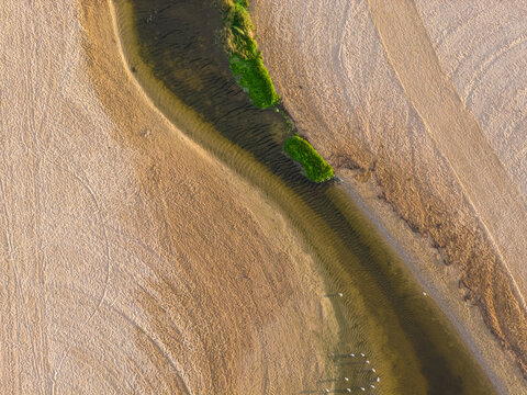 Vegetation in coastal lagoon surrounded by a sandy beach