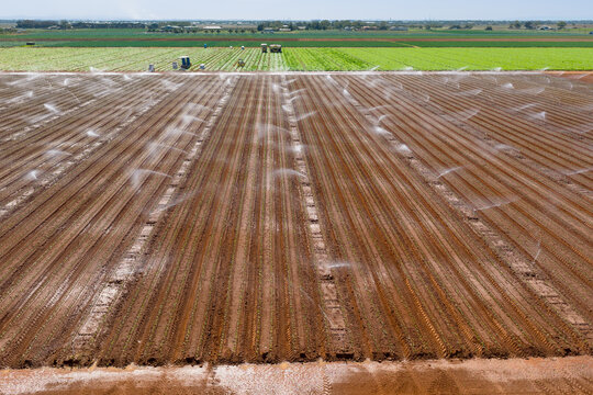 Irrigation sprinklers watering a plot rich soil in a market garden