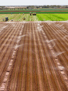 Irrigation sprinklers watering a plot rich soil in a market garden