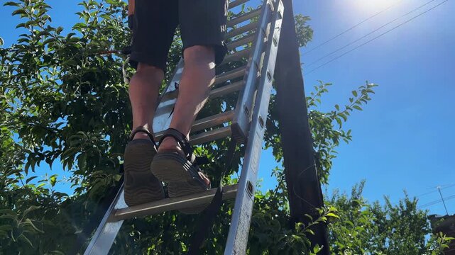 Male labor climb a ladder attached to utility pole while hold drill, preparing to install equipment. Worker perform installation work at height carefully securing components during construction tasks