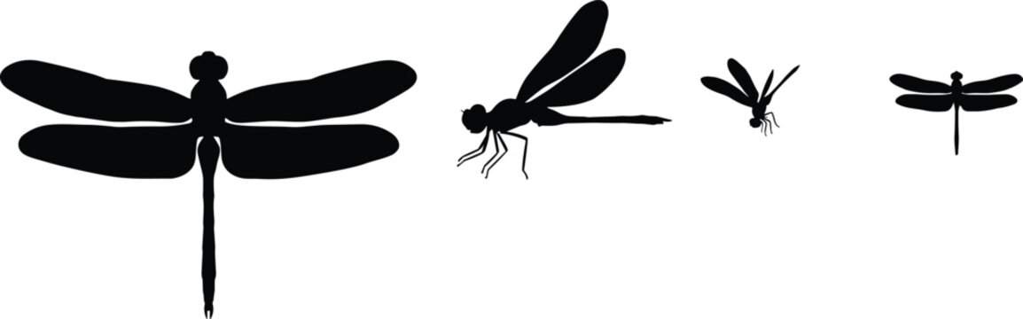 Dragonfly Silhouette Collection Set Isolated on White Background for Nature Design