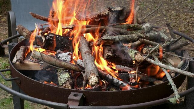 Burning logs in a backyard fire pit