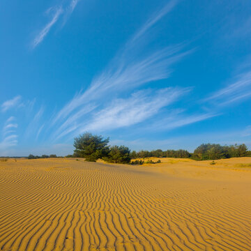 wide sandy desert under a blue cloudy sky