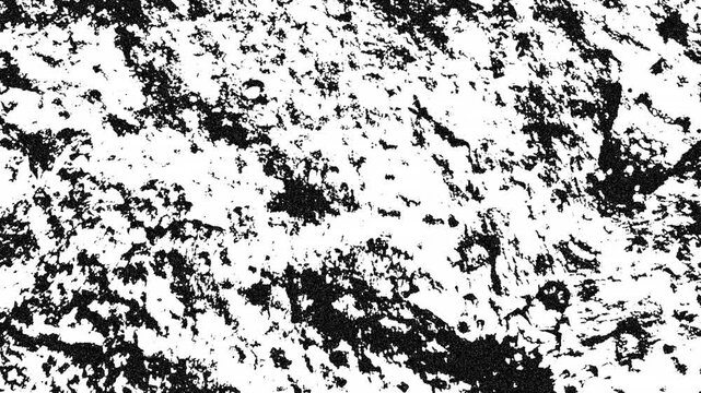 Bold high-contrast texture with fragmented mineral patches, irregular voids, and rugged organic structure. Grunge texture background animation.