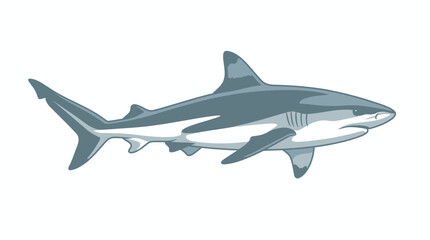 Fototapeta premium Great white shark swimming in ocean.