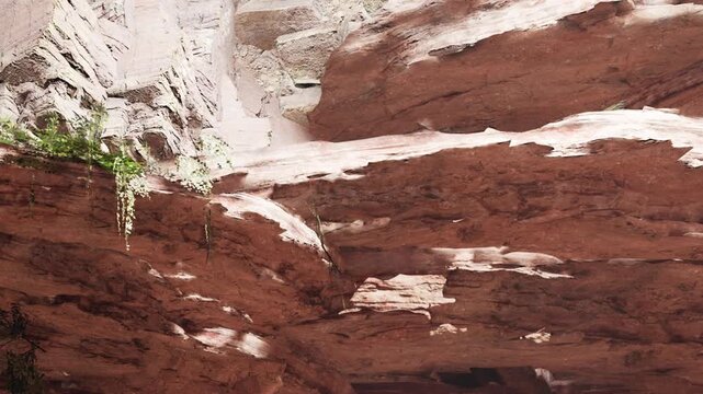 People are walking through a canyon surrounded by tall rock formations. The sunlight is bright and shines on the rocky surfaces. Plants grow on the cliffs above.
