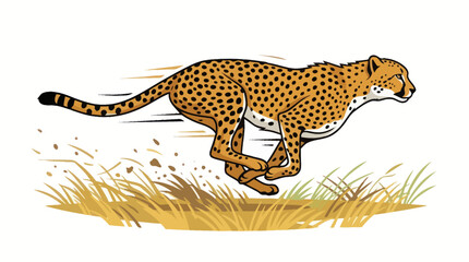 Fast running cheetah sprinting through golden grass. © sabar