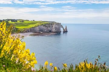 Etretat Aval Cliff and Yellow Flowers, Normandy © stevanzz