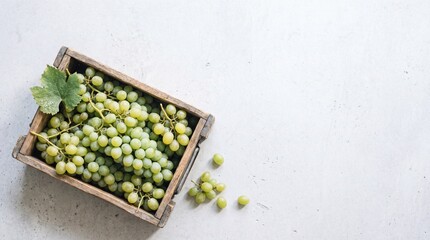 Fototapeta premium A wooden crate filled with fresh green grapes. Some grapes are scattered around the crate. The background is light and neutral, emphasizing the fruit.
