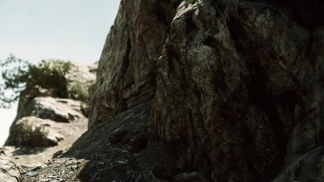 Rough rocks and a small bush in a natural environment. Sunlight highlights the texture of the stones. The background is clear with some trees visible.