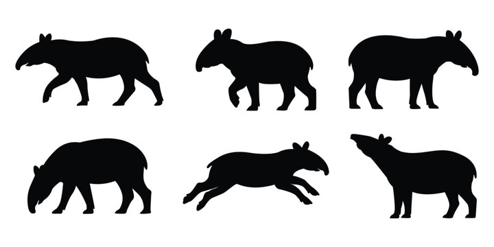 Collection of six Tapir Animal Silhouettes. tapirs showcasing different postures and actions vector illustration.