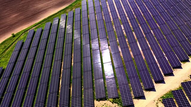 Solar panel array close up. Overhead detail of long rows of energy modules with sunlight glinting on glass surfaces.