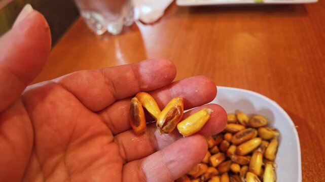Close-up of hand holding toasted corn kernels known as canchita, a traditional Peruvian snack.