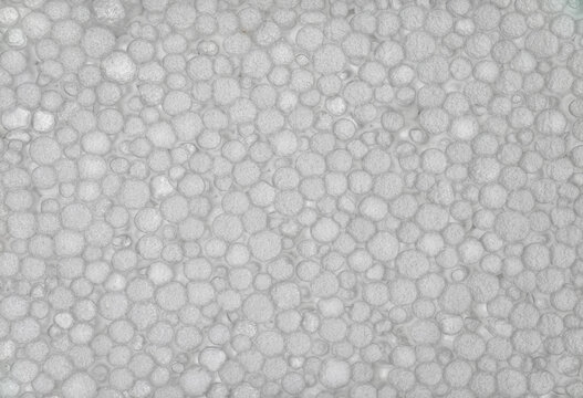 White polystyrene foam texture background with dense packing beads