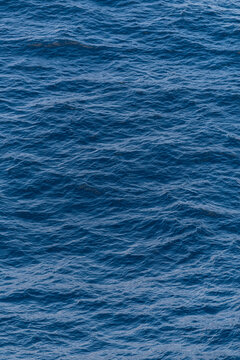 Beautiful photo of the sea waves