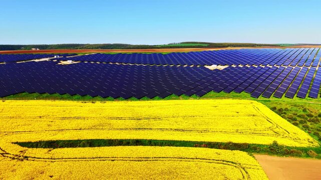 Solar energy installation in countryside. Drone view of expansive black panel rows bordering bright yellow crop patches.