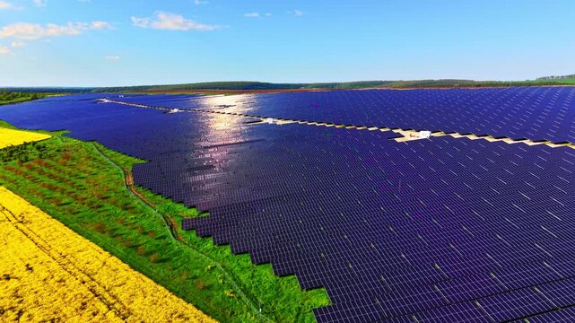 Sunlight reflecting on solar panels. High perspective of a massive energy plant with glare on dark modules near green vegetation.