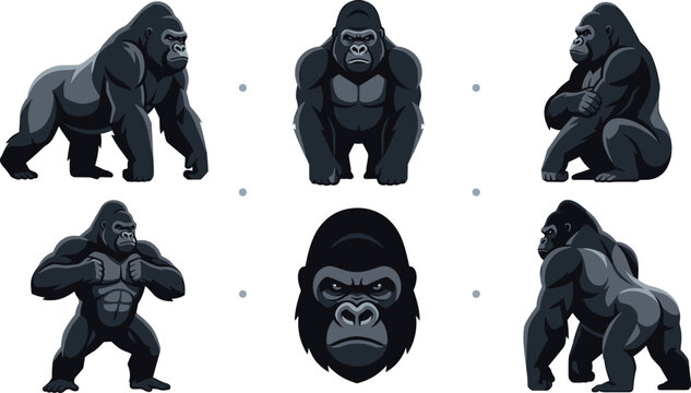 Strong Silverback Gorilla Vector Illustration Set with Standing Sitting Posing Angry Head Mascot and Powerful Primate Poses
