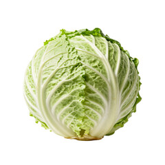 Fototapeta premium Fresh green cabbage with layers of leaves is displayed on a white surface