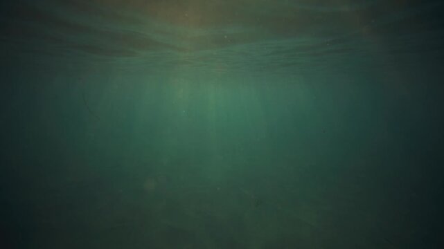 underwater world background