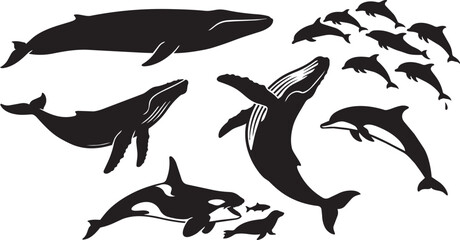 Naklejka premium Whale, orca, dolphin silhouettes, ocean creatures, sea animals, vector icons, black marine life