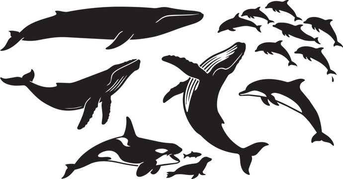 Whale, orca, dolphin silhouettes, ocean creatures, sea animals, vector icons, black marine life