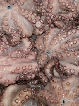 At the fishmongers, close up of octopus for sale. Market offering
