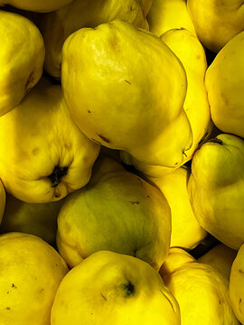 Beautiful shot of quince fruit with sun and shadow