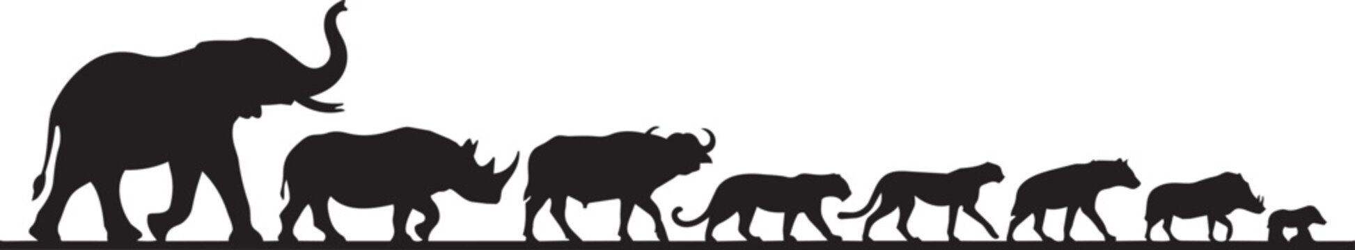 Black silhouettes of rhino, elephant and elephant, zoo animals walking in line, safari wildlife icons