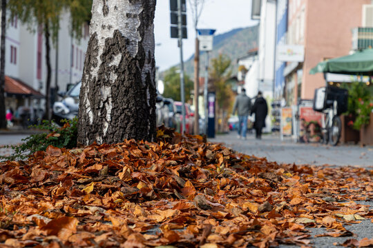 Fallen autumn leaves on a sidewalk in a European town