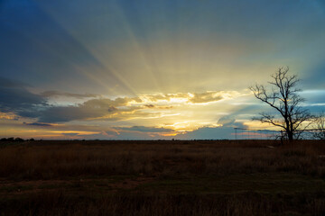 Fototapeta premium West Texas Sunset
