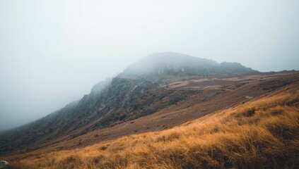 Obraz premium Peaceful mountain view in autumn surrounded by mist and yellow grass copy space