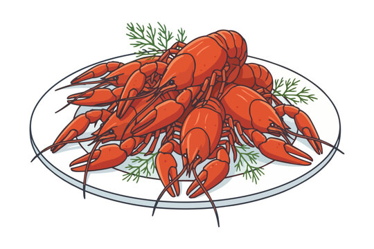 Plate of crayfish seasoned with fresh dill traditionally served during Swedish crayfish feast - vector illustration.