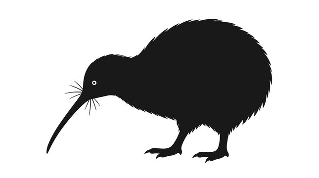 Black silhouette of a kiwi bird standing on a plain white background