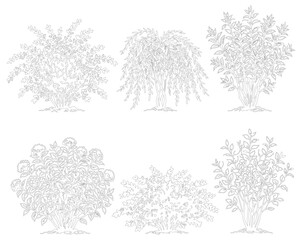 Obraz premium Set of Winter Christmas Trees with Snowflakes Vector Illustration Collection