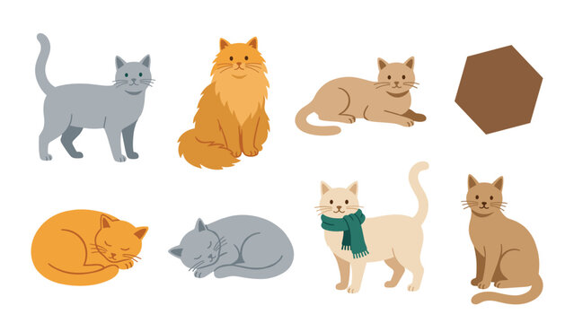 Cute domestic cats and playful kittens character vector set. Fluffy orange, grey, sleeping, sitting, standing felines and scarf accessory.