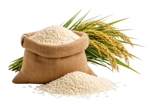 PNG Organic rice in burlap sack