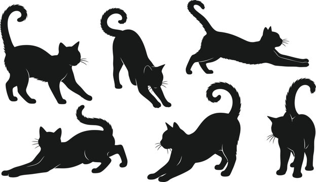Playful cat silhouettes stretching pouncing and relaxing poses