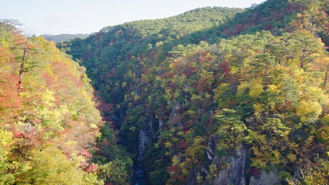 紅葉の名所 秋の鳴子峡の風景　Autumn scenery of Naruko Gorge, a famous spot for autumn foliage.