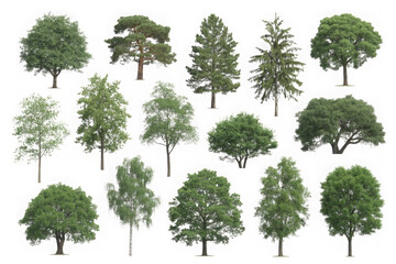Fototapeta premium Collection of various green trees for landscape design isolated on white background